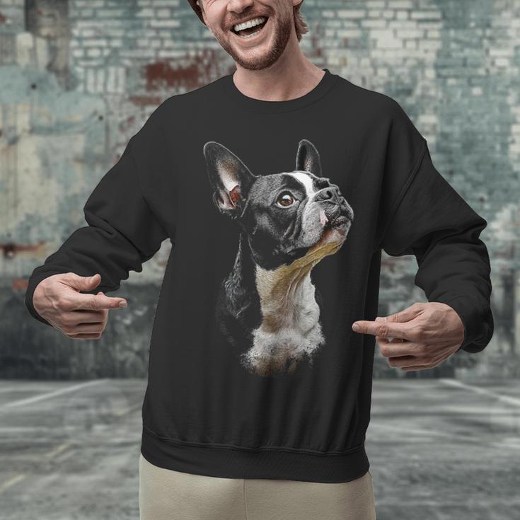 Boston Terrier Dog Graphic Pet Art Boston Terrier For Men Women Kids Unisex Sweatshirt, gift for family, gift for coworker