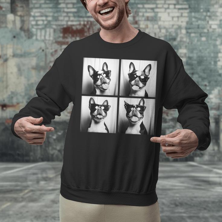 Boston Terrier Dogs With Sunglasses Photo Pets Meme Unisex Sweatshirt, gift for family, gift for coworker