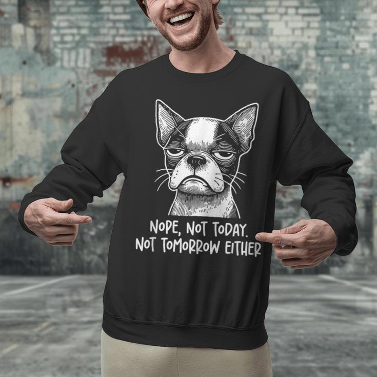 Boston Terrier Nope Not Today Not Tomorrow Either Sarcastic Unisex Sweatshirt, gift for family, gift for coworker