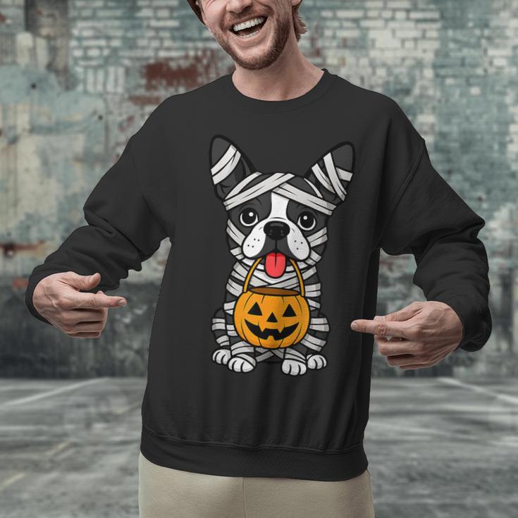 Halloween Dog Boston Terrier Mummy Costume Men Women Kids Unisex Sweatshirt, Boston Terrier Halloween Sweatshirts, gift for family, gift for coworker