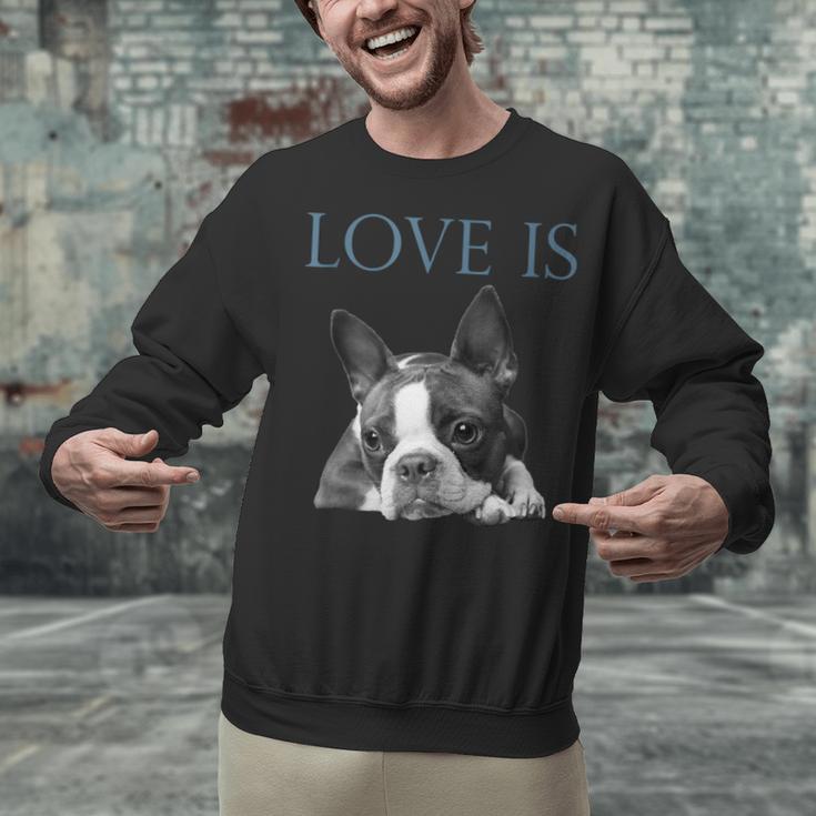 Love Is Boston Terrier Bostie Unisex Sweatshirt, gift for family, gift for coworker