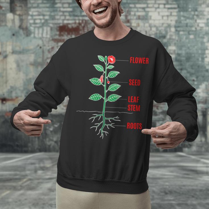 Parts Of a Plant Science For Teachers Kids And Students Unisex Sweatshirt, Science Teacher Sweatshirts, gift for family, gift for coworker