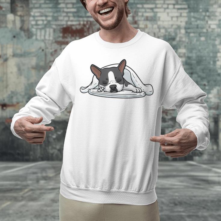 Boston Terrier Dog Official Sleeping Men Women Girls Kids Unisex Sweatshirt, gift for family, gift for coworker