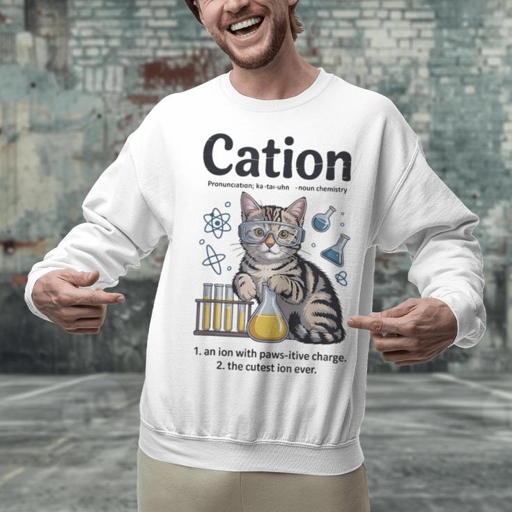 Cation Shirt Cat Science Chemistry Teacher Chemist Pun Unisex Sweatshirt, Science Teacher Sweatshirts, gift for family, gift for coworker