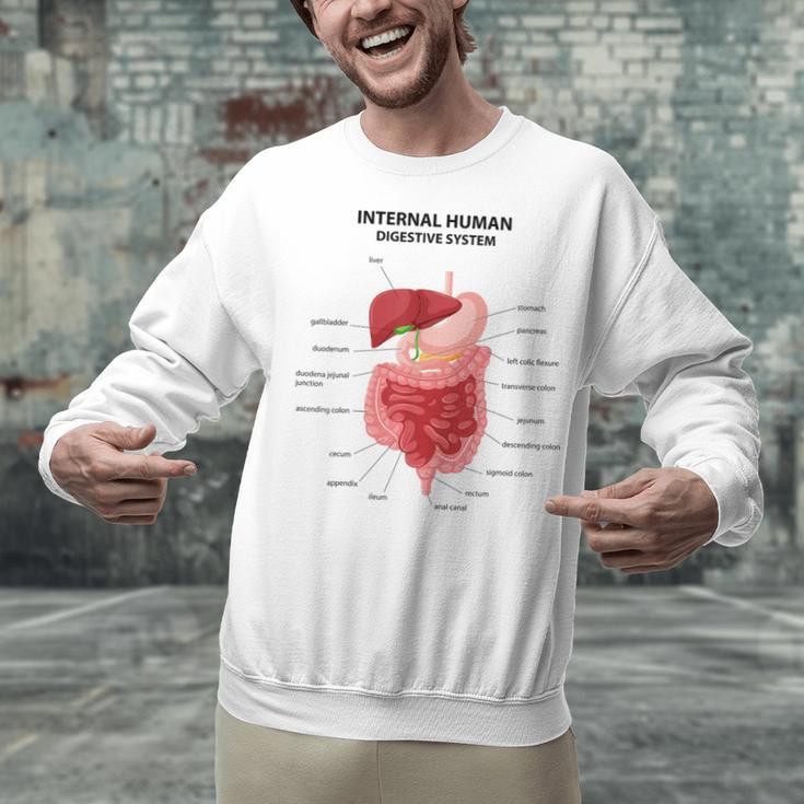 Digestive System Anatomy Anatomical Biology Teacher Men Women Unisex Sweatshirt, gift for family, gift for coworker Digestive System Anatomy Anatomical Biology Teacher Men Women Unisex Sweatshirt, gift for family, gift for coworker