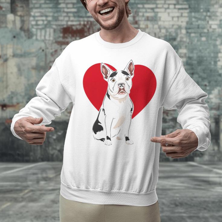 Valentine's Day Boston Terrier Lover Unisex Sweatshirt, gift for family, gift for coworker