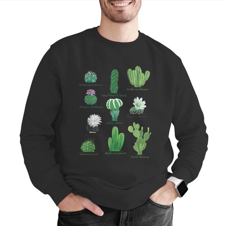 10 Types Of Cactus Succulent Teacher Chart Cactus Lover Tee Men Graphic Sweatshirt, funny gift 10 Types Of Cactus Succulent Teacher Chart Cactus Lover Tee Men Graphic Sweatshirt, funny gift