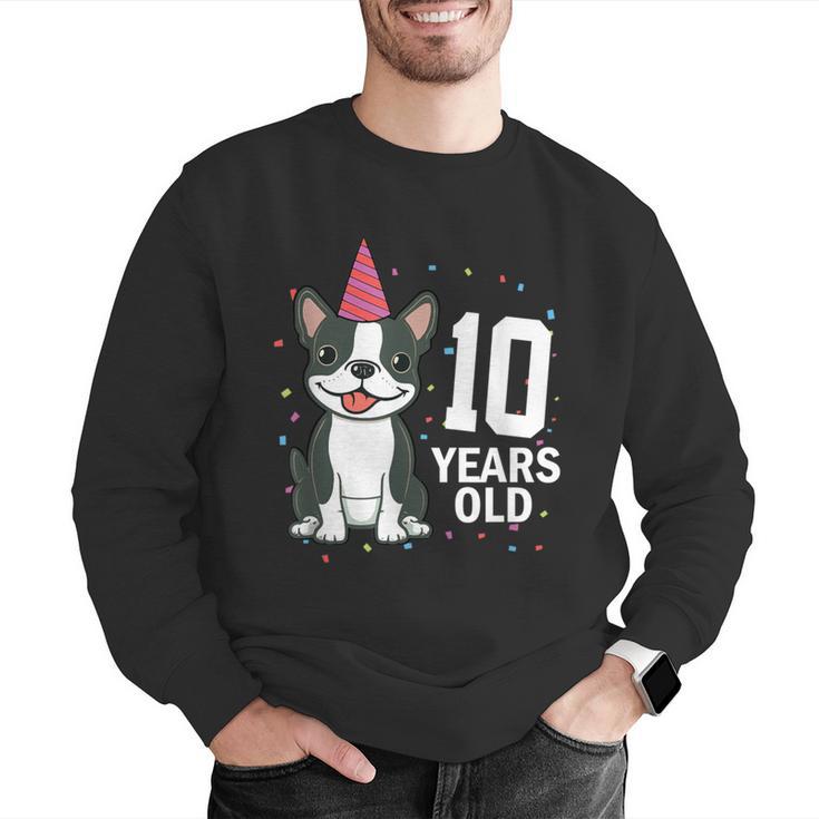 10 Years Old Birthday Boston Terrier Dog Lover 10th Party For Men Women Kids Men Graphic Sweatshirt, funny gift