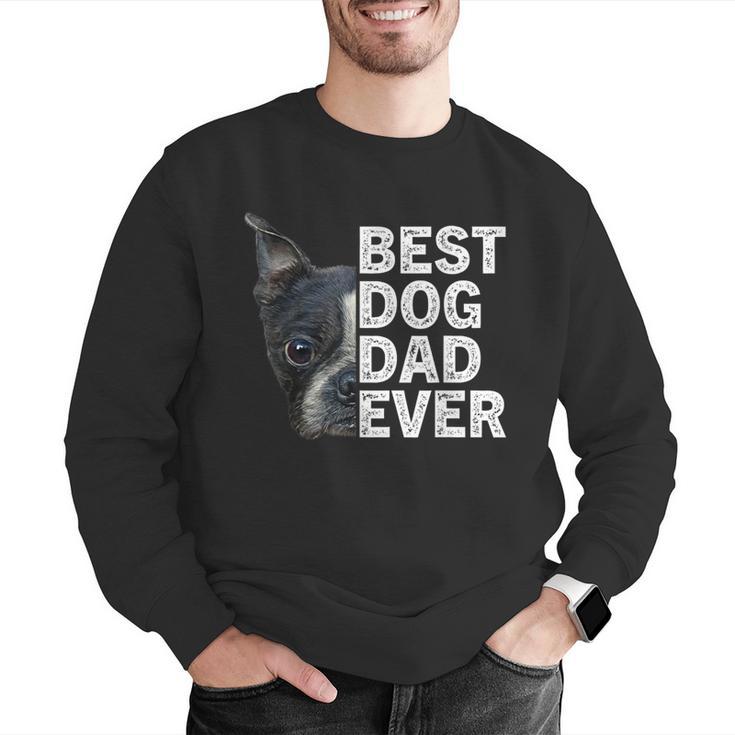Best Dog Dad Ever Boston Terrier Dog Lover For Dad Men Women Girls Kids Men Graphic Sweatshirt, Boston Terrier Dad Sweatshirts, funny gift