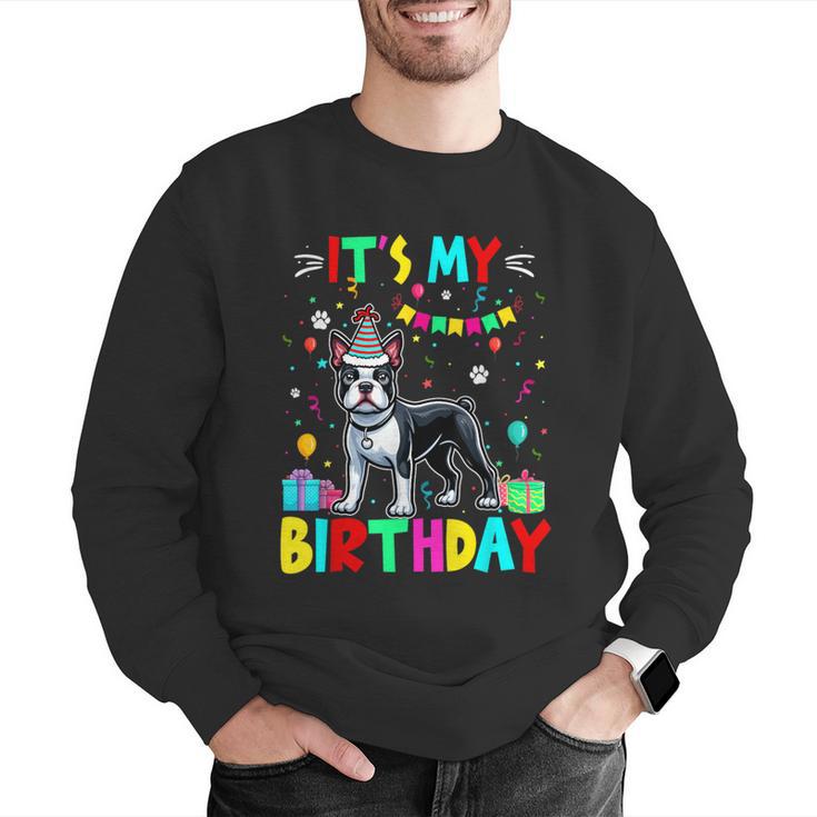 My Birthday Colorful Costume Boston Terrier Party Men Graphic Sweatshirt, funny gift
