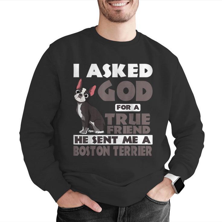Boston Terrier American Gentleman Non-Sporting Dog Lover Men Graphic Sweatshirt, American Boston Terrier Sweatshirts, funny gift
