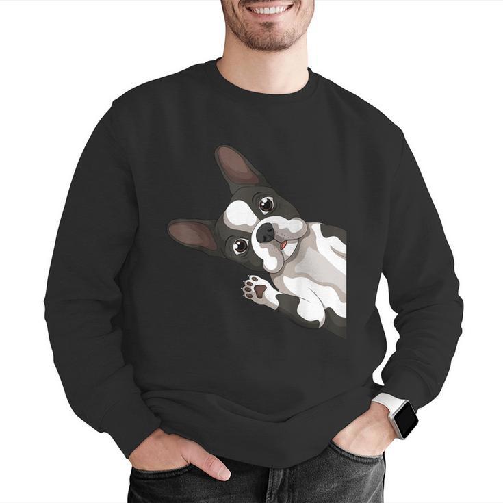Boston Terrier Bostie Dog Kids Boys Girls Men Graphic Sweatshirt, funny gift