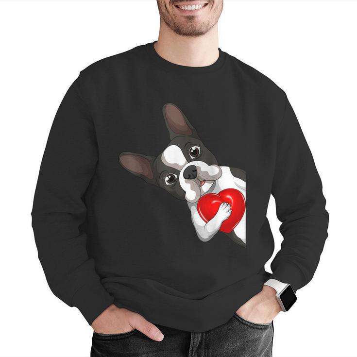 Boston Terrier Bostie Dog Kids Women Girls Men Graphic Sweatshirt, funny gift