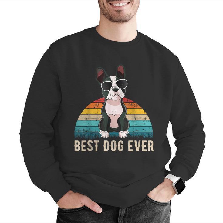 Boston Terrier Boston-Bulldog For Men Women Girls Kids Men Graphic Sweatshirt, funny gift