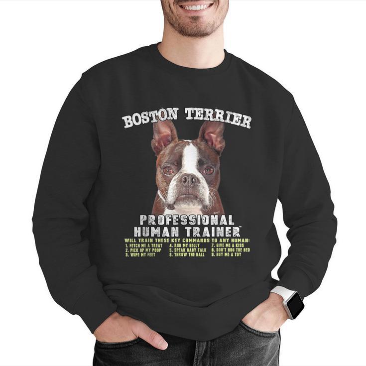 Boston Terrier Brindle Dog Professional Human Trainer Men Graphic Sweatshirt, funny gift