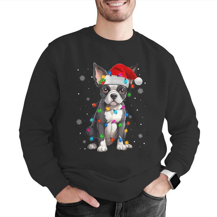 Boston Terrier Christmas Santa Hat Tree Lights Pajama Men Graphic Sweatshirt, Boston Terrier Christmas Sweatshirts, funny gift