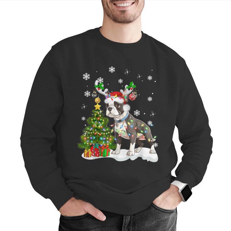 Boston Terrier Christmas Tree Lights Santa Hat Men Graphic Sweatshirt, Boston Terrier Christmas Sweatshirts, funny gift