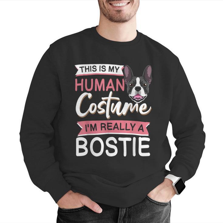Boston Terrier Dog Bostie Halloween Costume Dog For Kids Men Graphic Sweatshirt, Boston Terrier Halloween Sweatshirts, funny gift
