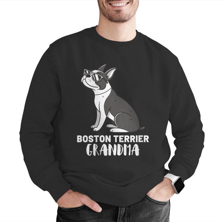 Boston Terrier Dog Owner Grandma Men Graphic Sweatshirt, funny gift