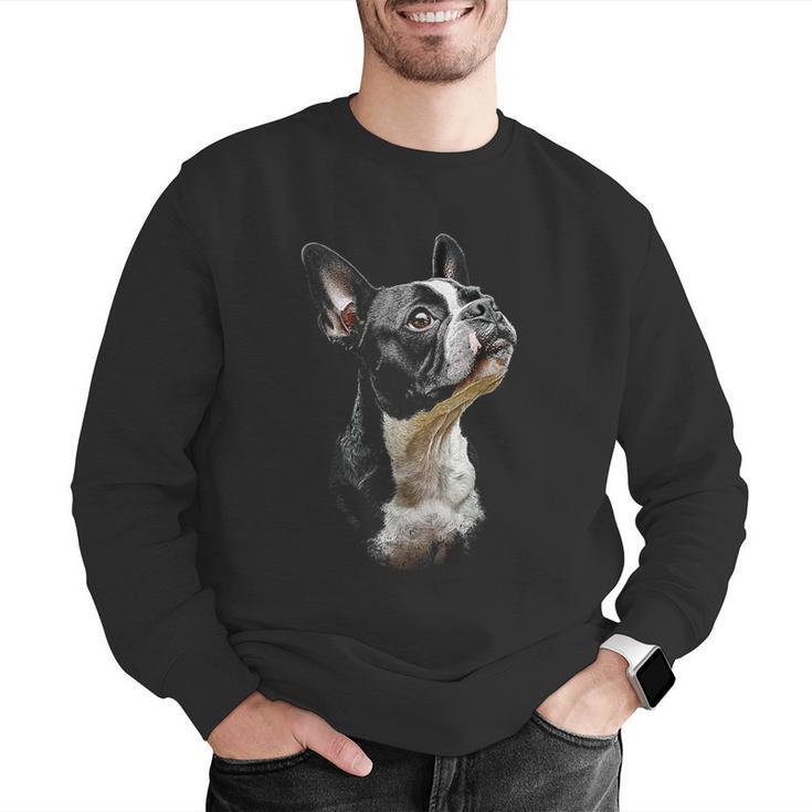 Boston Terrier Dog Graphic Pet Art Boston Terrier For Men Women Kids Men Graphic Sweatshirt, funny gift
