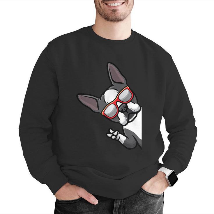 Boston Terrier Dog From Side Boston Bull Men Graphic Sweatshirt, funny gift