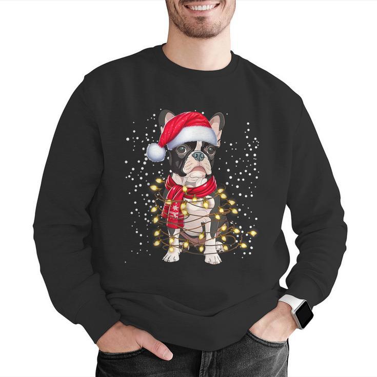 Boston Terrier Dog Ugly Christmas Dog Xmas For Men Women Kids Men Graphic Sweatshirt, Boston Terrier Christmas Sweatshirts, funny gift