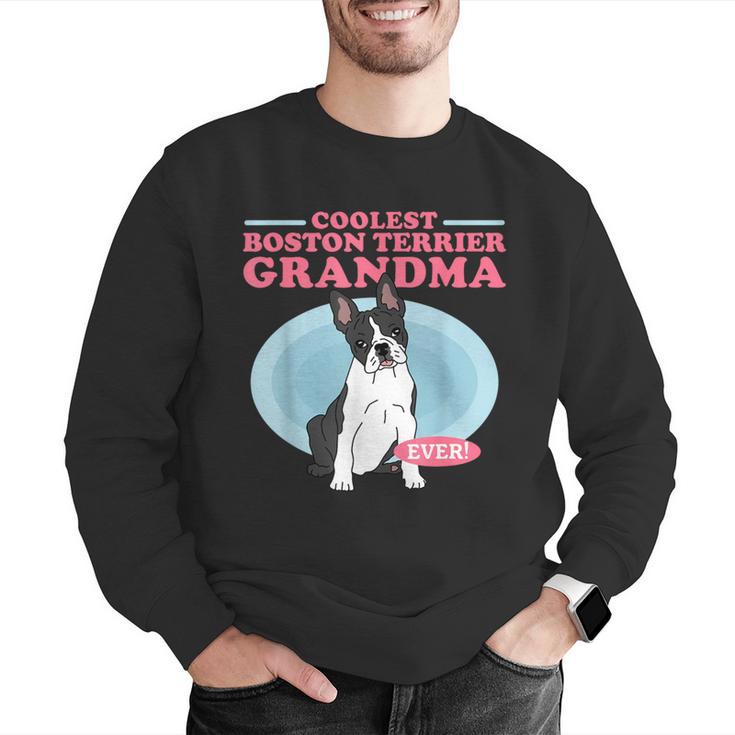 Boston Terrier Grandma Bostie Dog Owner Boston Terrier Men Women Men Graphic Sweatshirt, funny gift