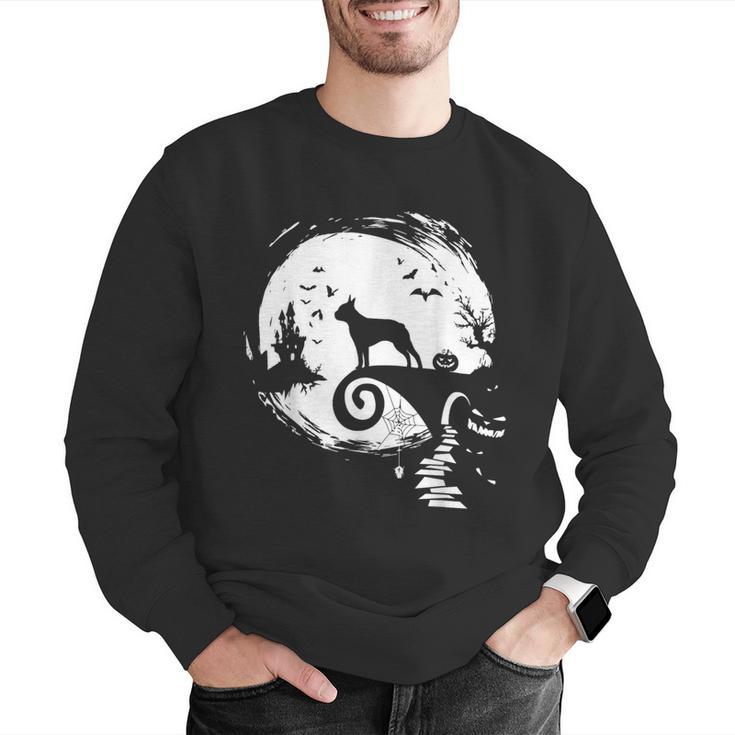 Boston Terrier And Moon Halloween Costume Dog Lover Men Graphic Sweatshirt, Boston Terrier Halloween Sweatshirts, funny gift