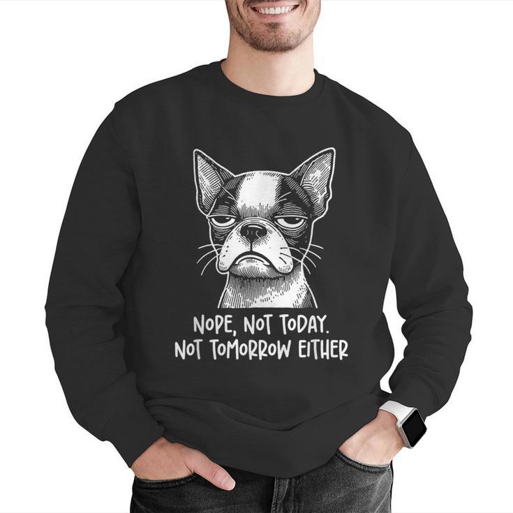 Boston Terrier Nope Not Today Not Tomorrow Either Sarcastic Men Graphic Sweatshirt, funny gift