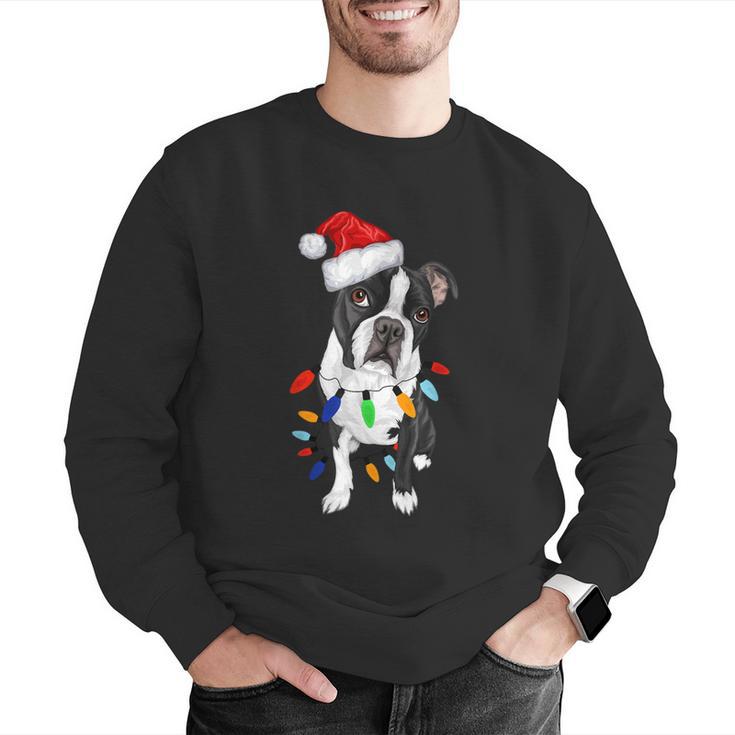 Boston Terrier Santa Christmas Lights Xmas Dog Lover Men Women Kids Men Graphic Sweatshirt, Boston Terrier Christmas Sweatshirts, funny gift