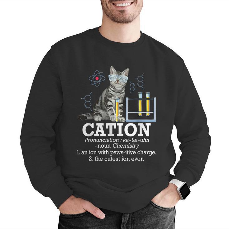 Cation Chemistry Humor Science Teacher Cat Pun Men Graphic Sweatshirt, Science Teacher Sweatshirts, funny gift Cation Chemistry Humor Science Teacher Cat Pun Men Graphic Sweatshirt, Science Teacher Sweatshirts, funny gift