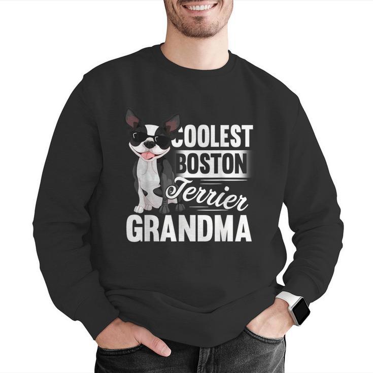 Coolest Boston Terrier Grandma Dog Men Graphic Sweatshirt, funny gift