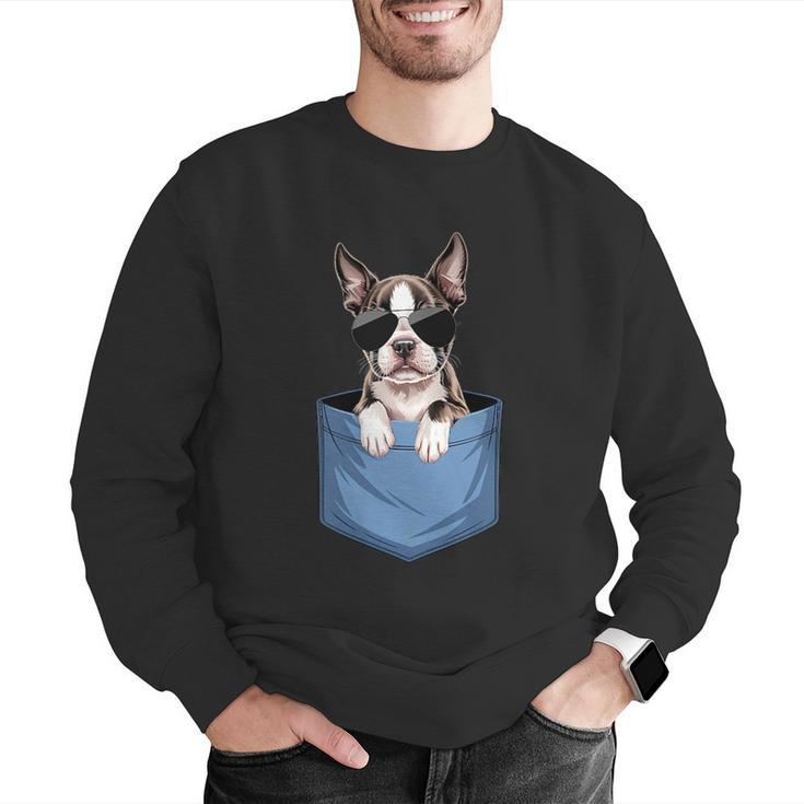 Cute Pocket Boston Terrier Lover Dog Mom Men Graphic Sweatshirt, Boston Terrier Mom Sweatshirts, funny gift