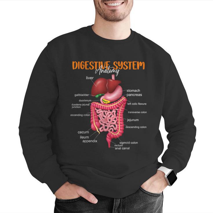 Digestive System Anatomy Anatomical Biology Teacher Men Graphic Sweatshirt, funny gift Digestive System Anatomy Anatomical Biology Teacher Men Graphic Sweatshirt, funny gift