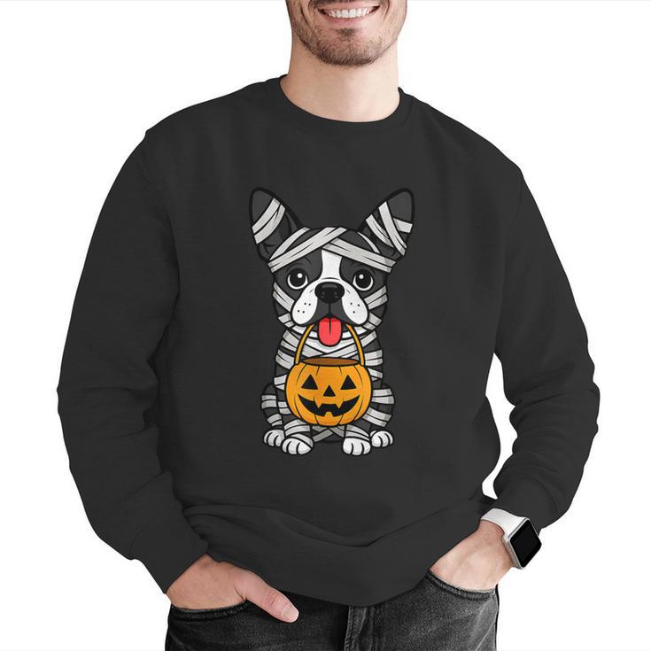 Halloween Dog Boston Terrier Mummy Costume Men Women Kids Men Graphic Sweatshirt, Boston Terrier Halloween Sweatshirts, funny gift