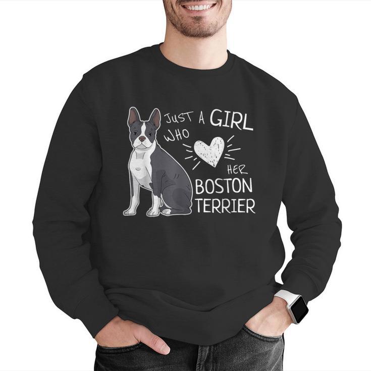 Just A Girl Who Loves Her Boston Terrier Puppy Love Men Graphic Sweatshirt, funny gift
