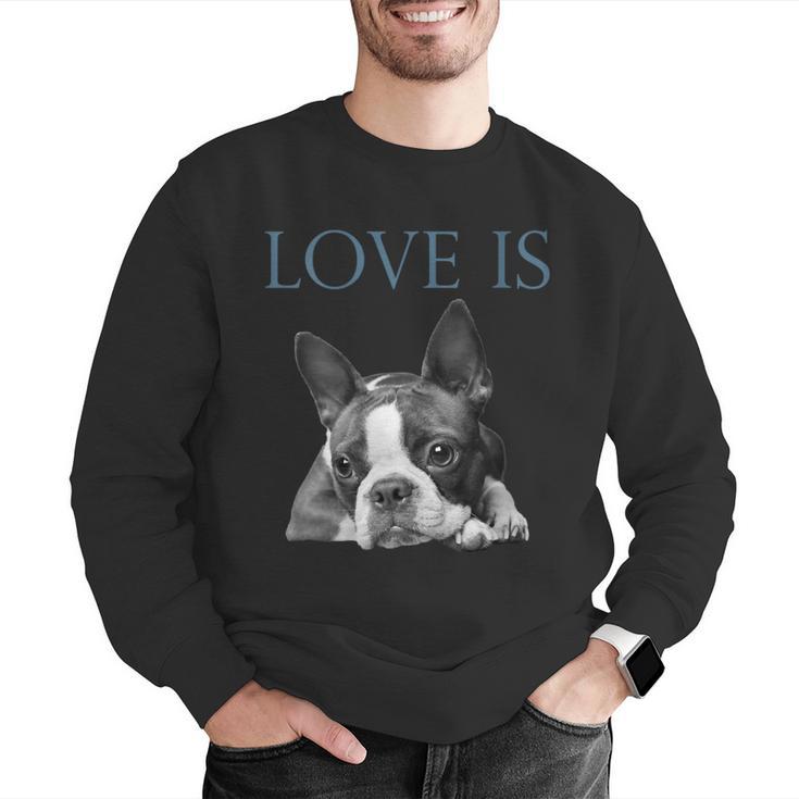Love Is Boston Terrier Bostie Men Graphic Sweatshirt, funny gift