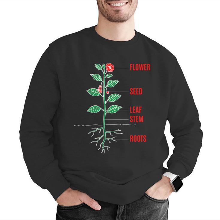 Parts Of a Plant Science For Teachers Kids And Students Men Graphic Sweatshirt, Science Teacher Sweatshirts, funny gift Parts Of a Plant Science For Teachers Kids And Students Men Graphic Sweatshirt, Science Teacher Sweatshirts, funny gift