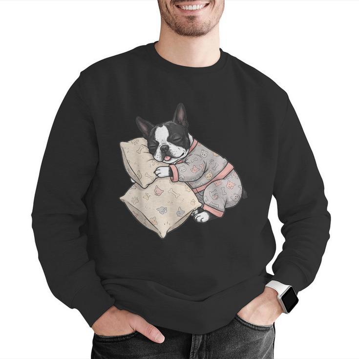 Sleepy Boston Terrier Pajama Men Women Kids Men Graphic Sweatshirt, funny gift