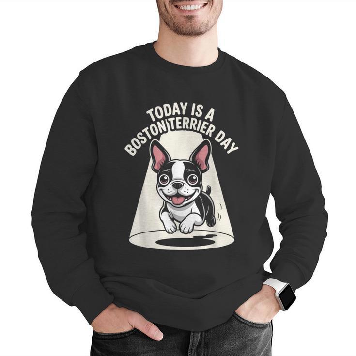 Today Is A Boston Terrier Day Cute Dog Lover Cartoon Men Graphic Sweatshirt, funny gift