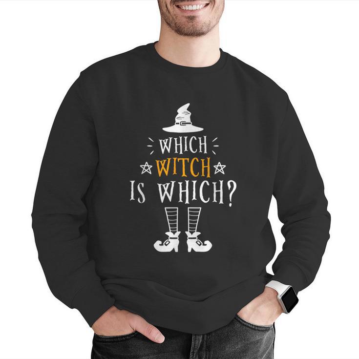 Which Witch Is Which Halloween Grammar Teacher Costume Men Graphic Sweatshirt, funny gift Which Witch Is Which Halloween Grammar Teacher Costume Men Graphic Sweatshirt, funny gift