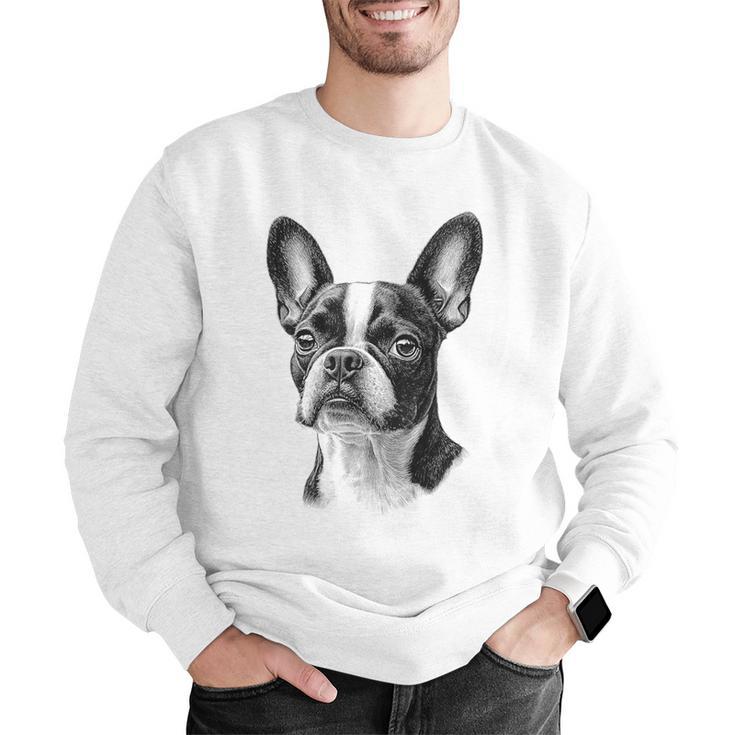 Boston Terrier Dog Motif Pet Illustration Boston Terrier For Men Women Kids Men Graphic Sweatshirt, funny gift