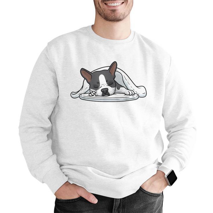Boston Terrier Dog Official Sleeping Men Women Girls Kids Men Graphic Sweatshirt, funny gift