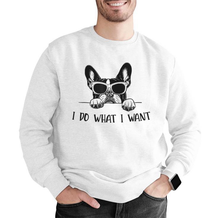 Boston Terrier Dog Owner I Do What I Want Pet Men Graphic Sweatshirt, funny gift