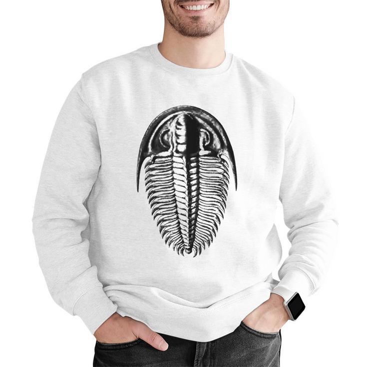 Trilobite Fossil Geology Teacher Student Geologist Men Graphic Sweatshirt, funny gift Trilobite Fossil Geology Teacher Student Geologist Men Graphic Sweatshirt, funny gift