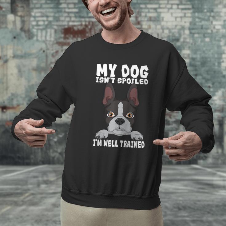 Boston Terrier American Gentleman Dog Lover I'm Well Trained Men Graphic Sweatshirt, American Boston Terrier Sweatshirts, gift for family, gift for coworker