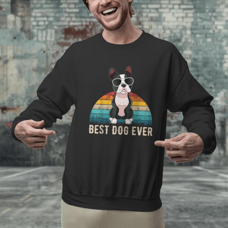 Boston Terrier Boston-Bulldog For Men Women Girls Kids Men Graphic Sweatshirt, gift for family, gift for coworker