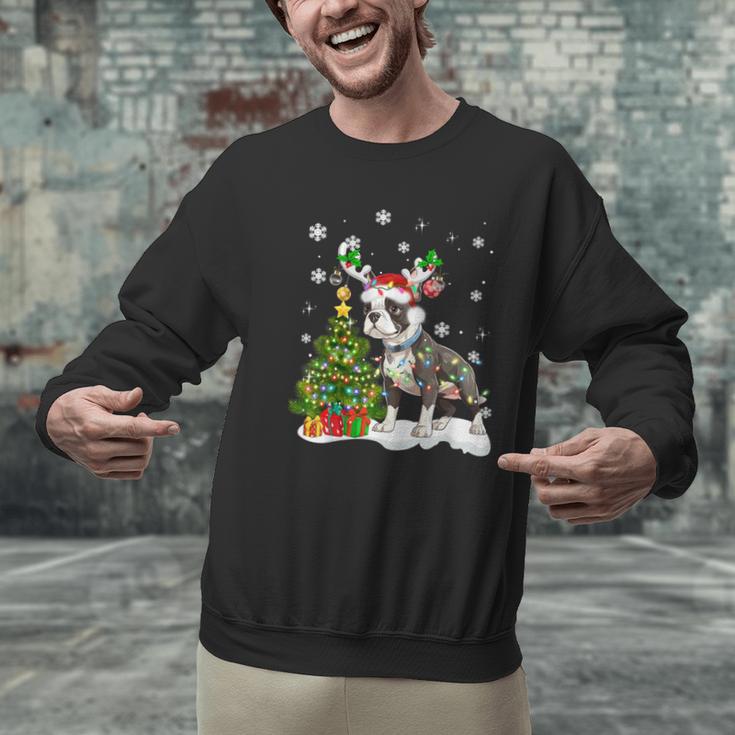 Boston Terrier Christmas Tree Lights Santa Hat Men Graphic Sweatshirt, Boston Terrier Christmas Sweatshirts, gift for family, gift for coworker