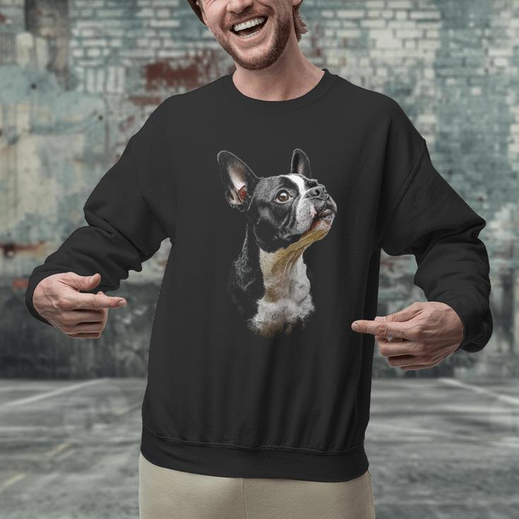 Boston Terrier Dog Graphic Pet Art Boston Terrier For Men Women Kids Men Graphic Sweatshirt, gift for family, gift for coworker