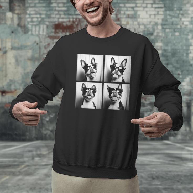 Boston Terrier Dogs With Sunglasses Photo Pets Meme Men Graphic Sweatshirt, gift for family, gift for coworker